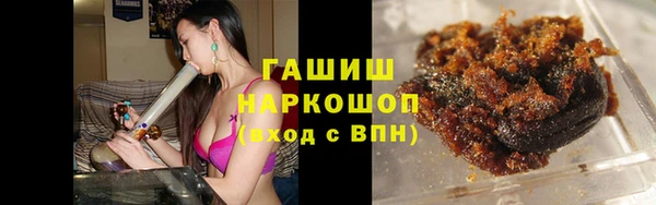 сатива Новокубанск