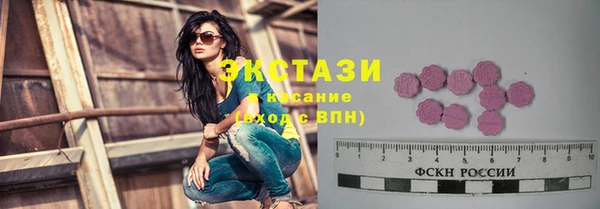 сатива Новокубанск