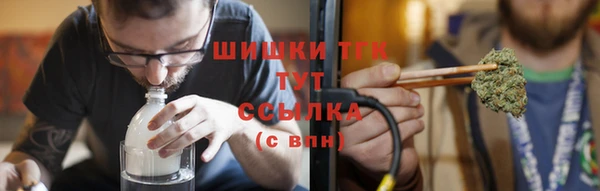 сатива Новокубанск