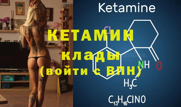 сатива Новокубанск