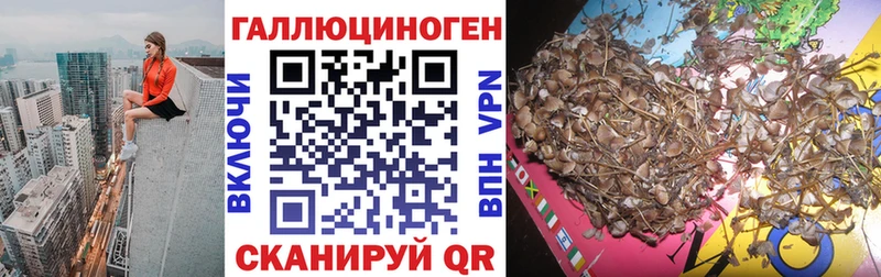 Галлюциногенные грибы Psilocybine cubensis  сайты даркнета формула  Питкяранта  магазин продажи наркотиков 